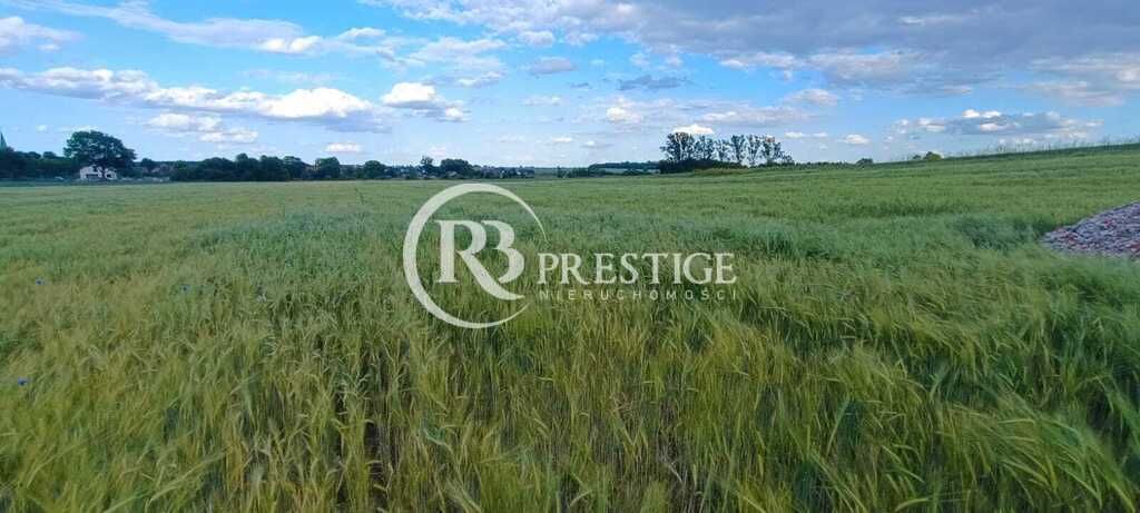 Działka budowlana Bielkowo. Zdjęcie 3