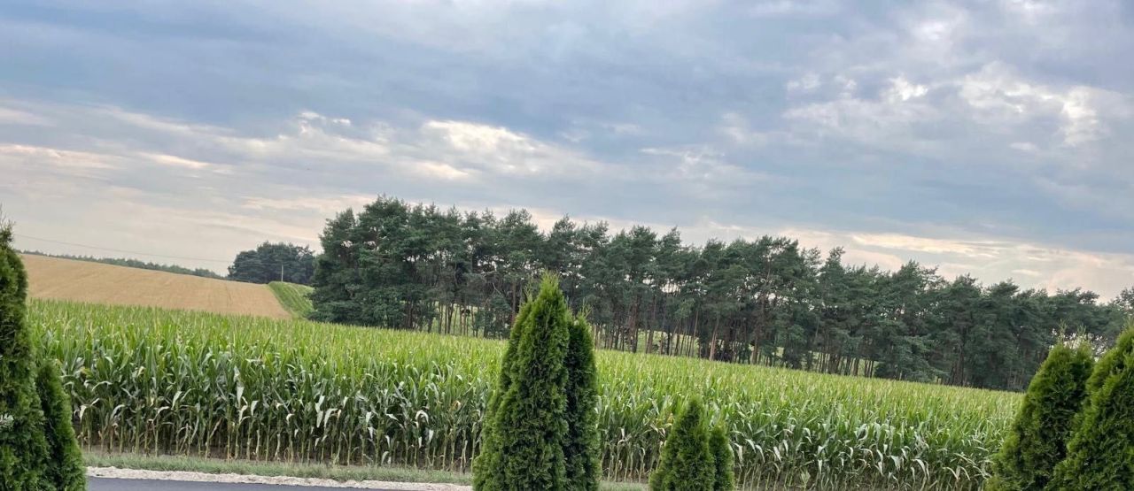 Działka budowlana Obrowo, ul. Leszczynowa. Zdjęcie 3