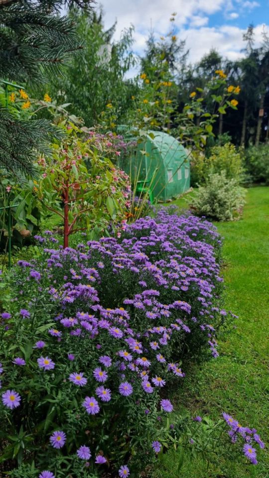 dom wolnostojący, 3 pokoje Poddębie, Poddębie. Zdjęcie 6