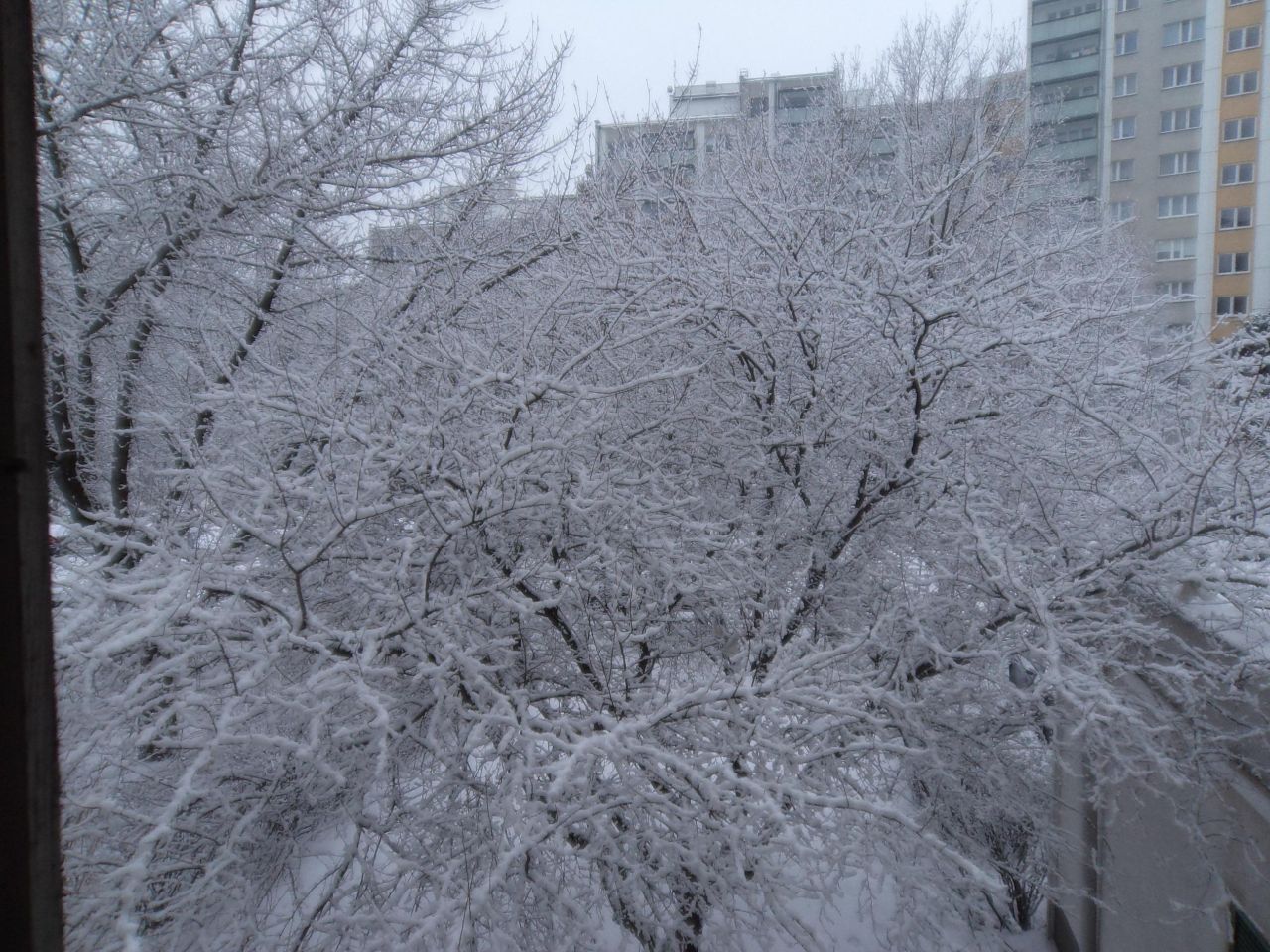 Mieszkanie 4-pokojowe Warszawa Wilanów, ul. Królowej Marysieńki. Zdjęcie 8