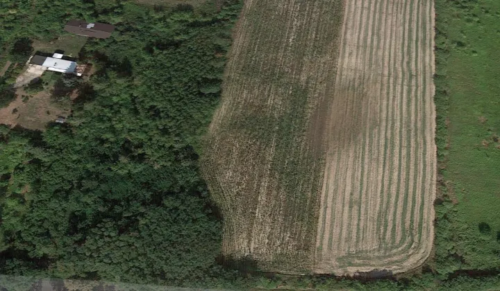 Działka budowlana Podkampinos Krubice, ul. Malinowa