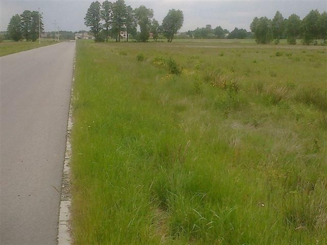 Działka budowlana Retków. Zdjęcie 2