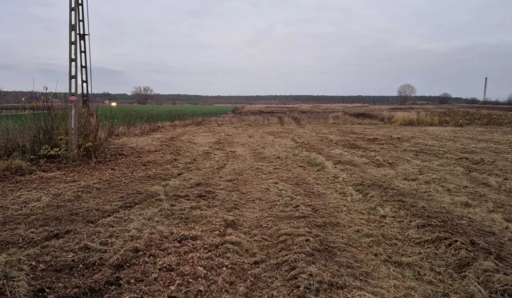 Działka rolno-budowlana Dzierzązna