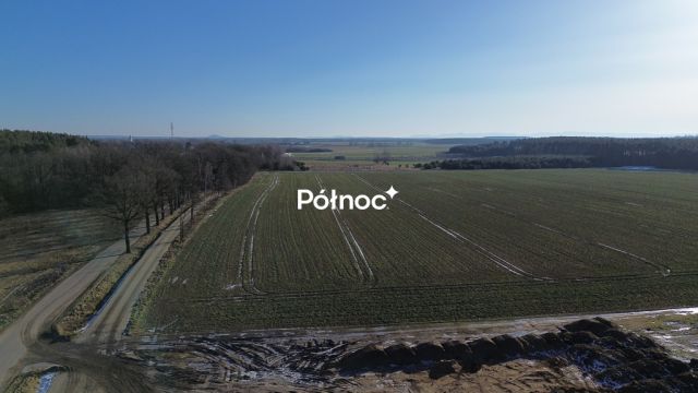 Działka inwestycyjna Dąbrowa Bolesławiecka. Zdjęcie 5
