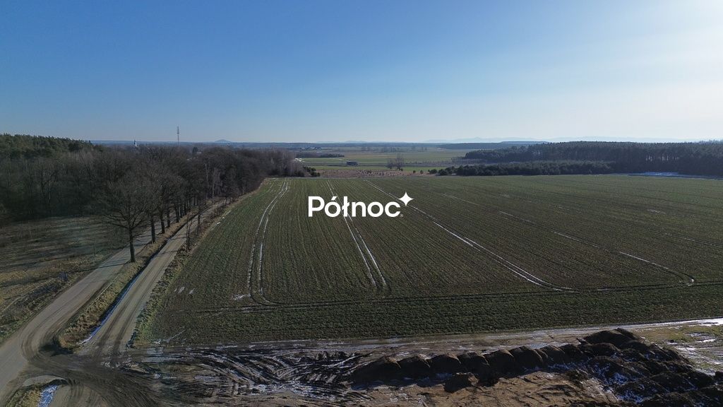 Działka inwestycyjna Dąbrowa Bolesławiecka. Zdjęcie 5