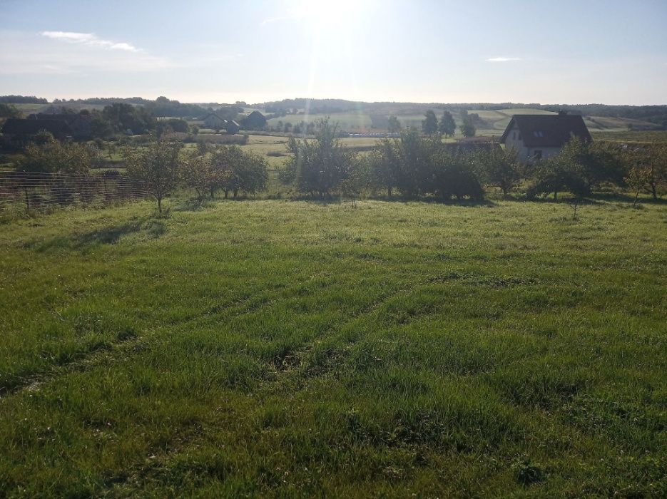 Działka budowlana Orzechowo. Zdjęcie 3