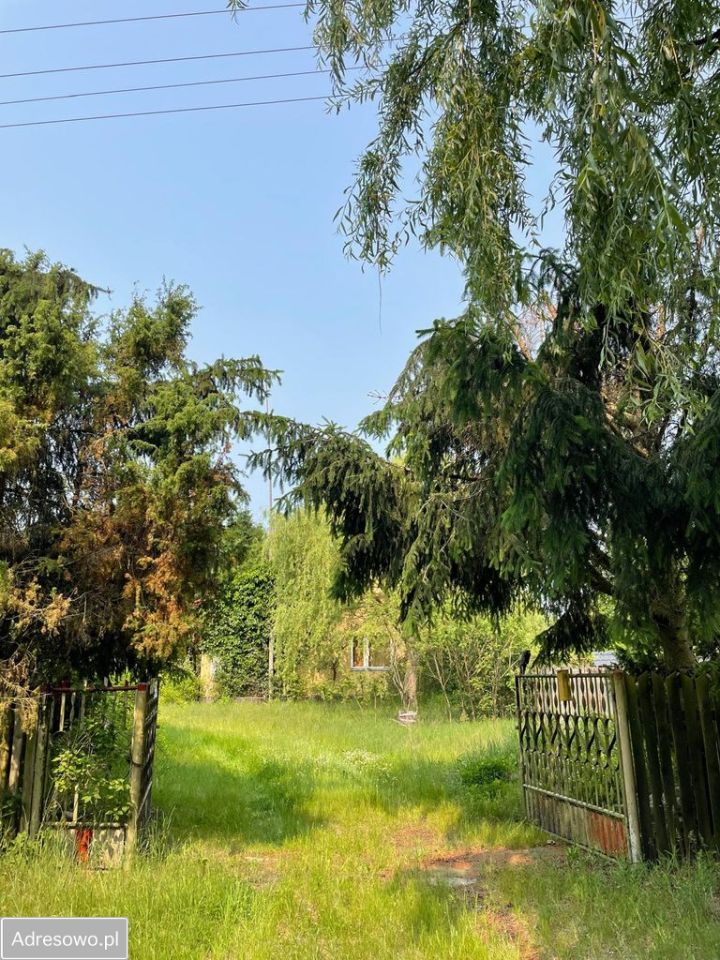 siedlisko, 5 pokoi Wistka Szlachecka. Zdjęcie 4