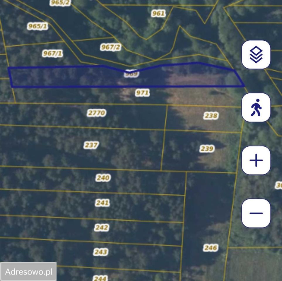 Działka leśna Mójcza. Zdjęcie 4