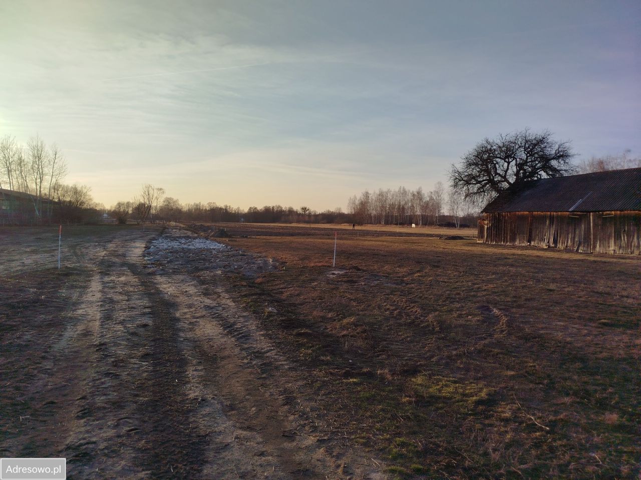 Działka budowlana Kozerki, ul. Jowisza. Zdjęcie 6