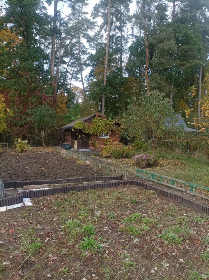 Działka rod Olsztyn. Zdjęcie 1