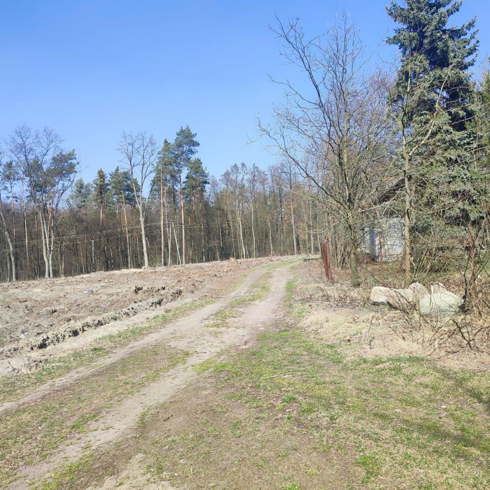 Działka budowlana Augustów Nowy Stachów, ul. Graniczna. Zdjęcie 1