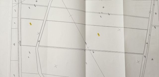 Działka rolna Dolice. Zdjęcie 1