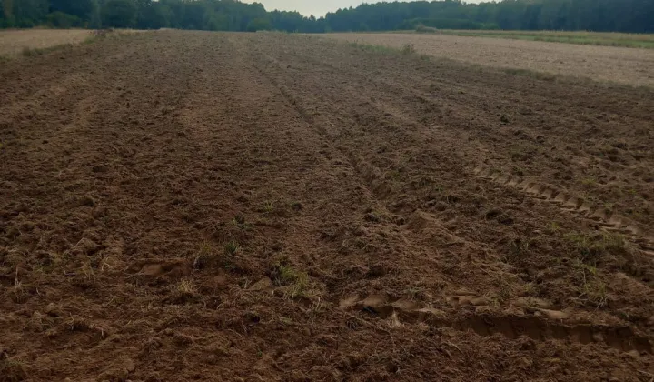 Działka rolna Głowaczów