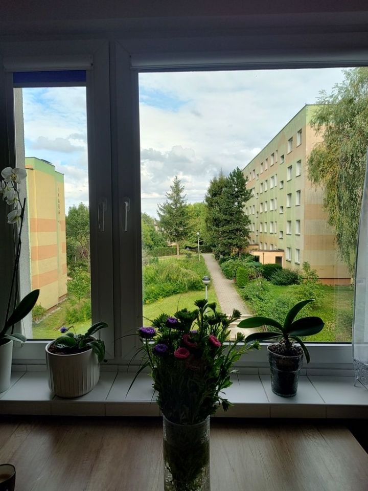 Mieszkanie 4-pokojowe Bielsko-Biała, ul. Trzech Diamentów. Zdjęcie 5