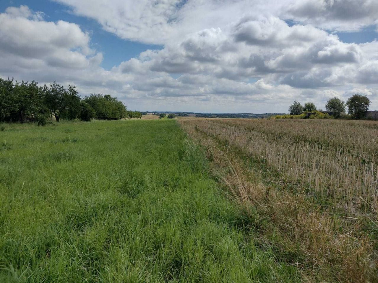 Działka inwestycyjna Cianowice. Zdjęcie 7
