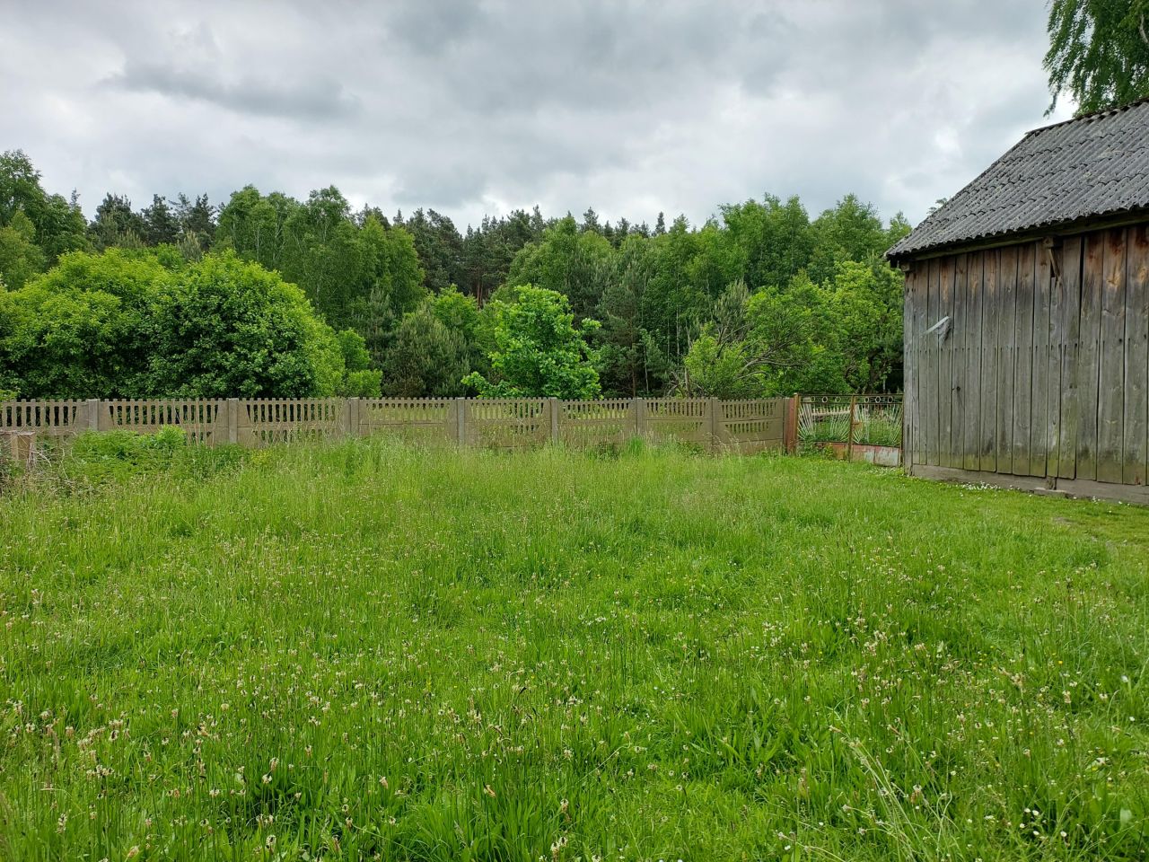 Działka rolno-budowlana Dębiny-Kolonia. Zdjęcie 8