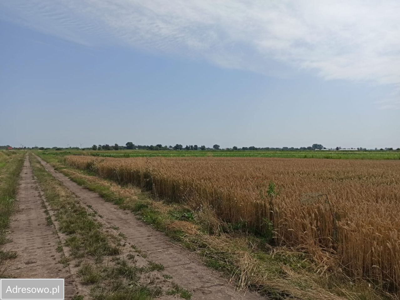 Działka siedliskowa Gdańsk Orunia, ul. Niegowo. Zdjęcie 4