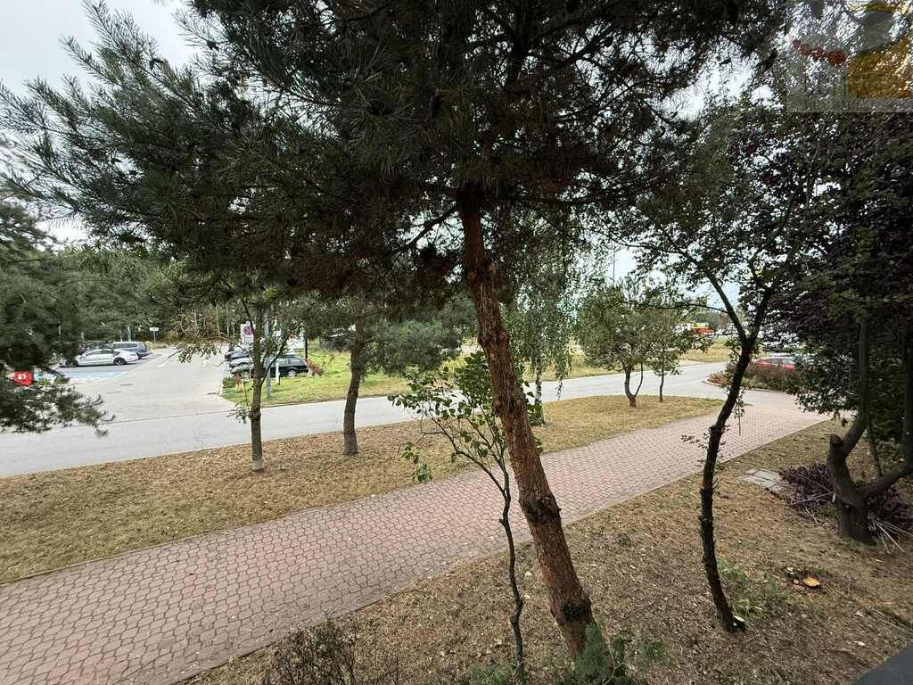 Mieszkanie 1-pokojowe Grodzisk Mazowiecki, ul. T. Bairda. Zdjęcie 5