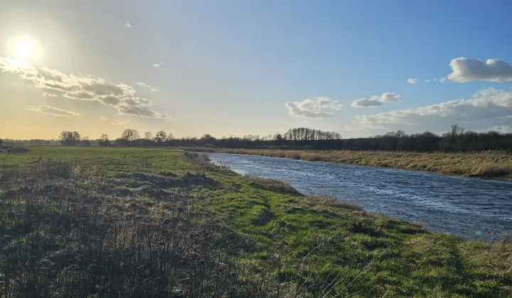 Działka rolno-budowlana Jaryń