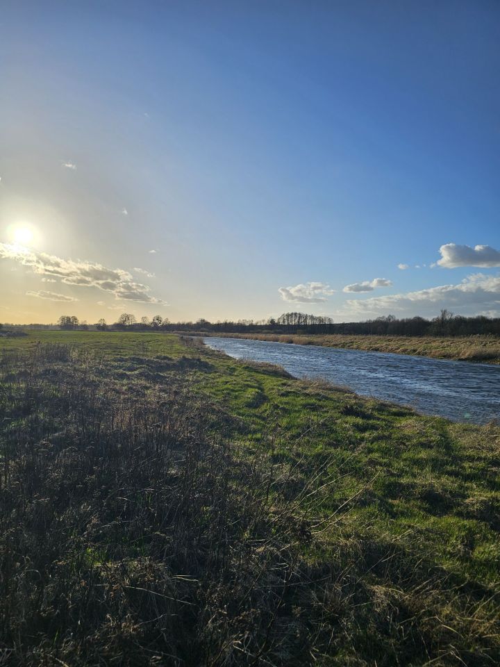 Działka rolno-budowlana Jaryń. Zdjęcie 1