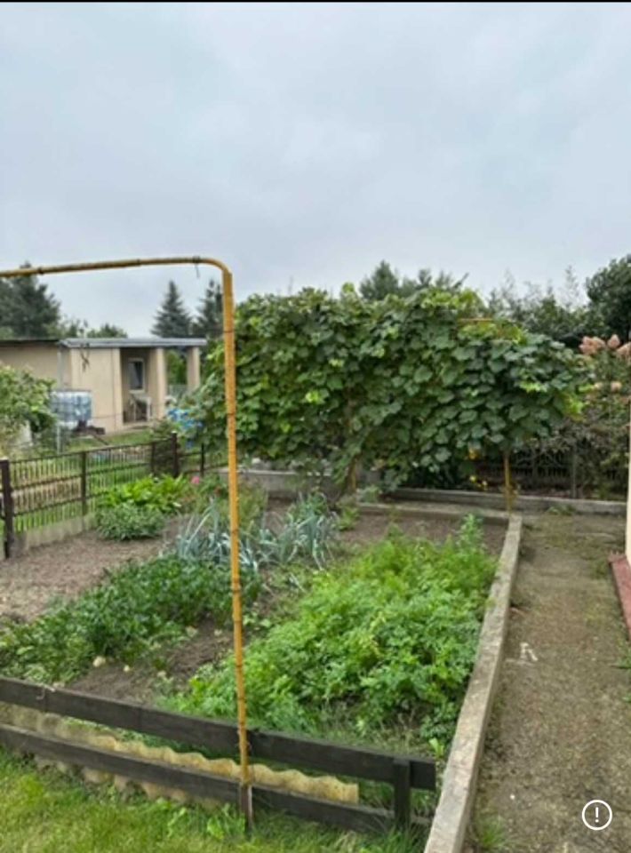 Działka rod Kalisz Szczypiorno, ul. Pogodna. Zdjęcie 6