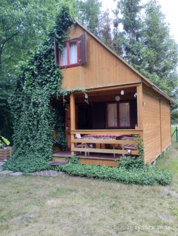 Działka rolna Karwieńskie Błoto Pierwsze. Zdjęcie 2