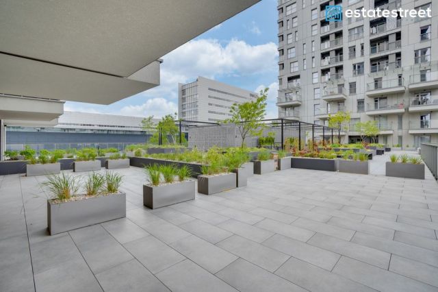 Mieszkanie 4-pokojowe Katowice Śródmieście, ul. Sokolska. Zdjęcie 18