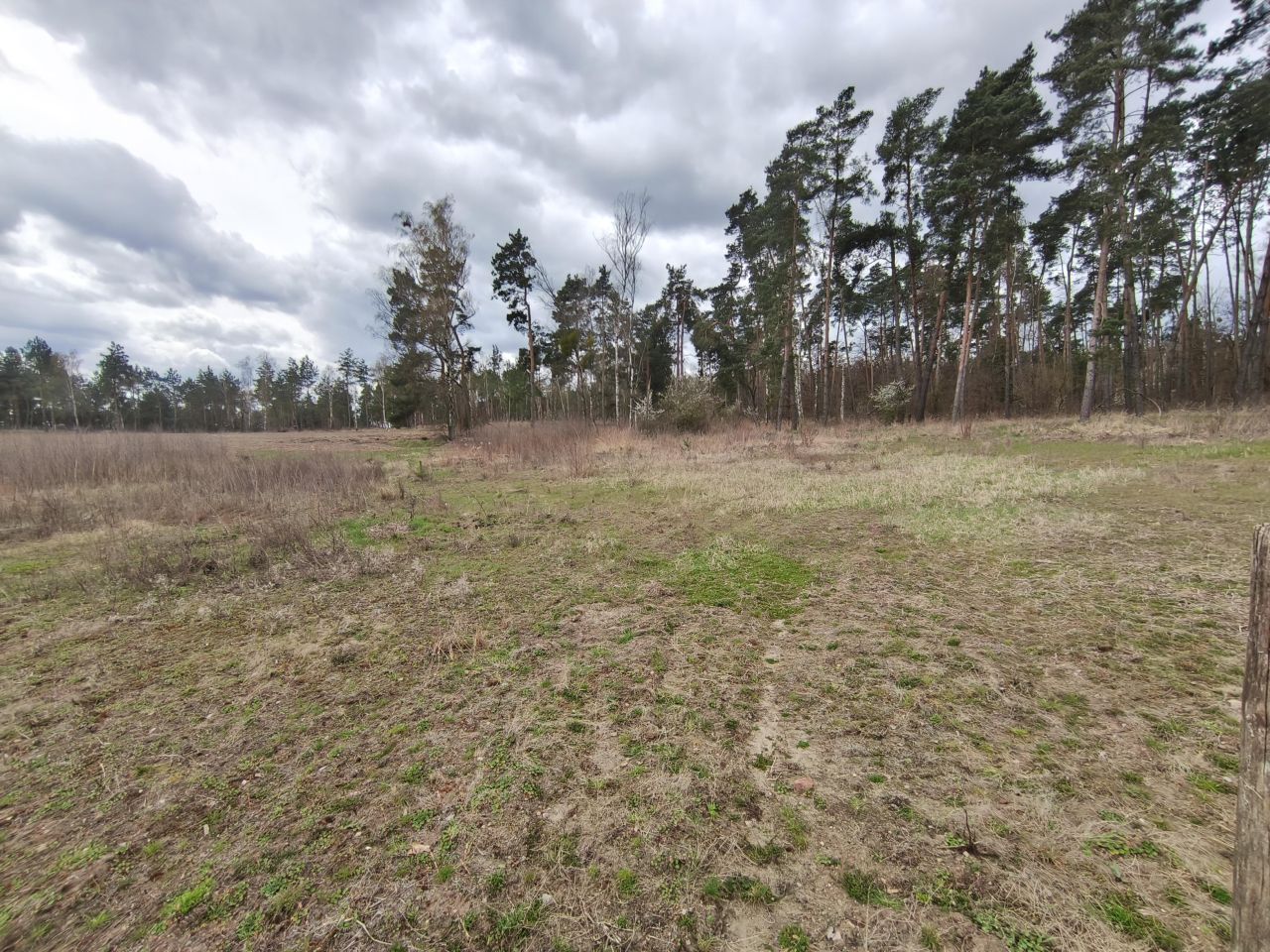 Działka rekreacyjna Bielin. Zdjęcie 5