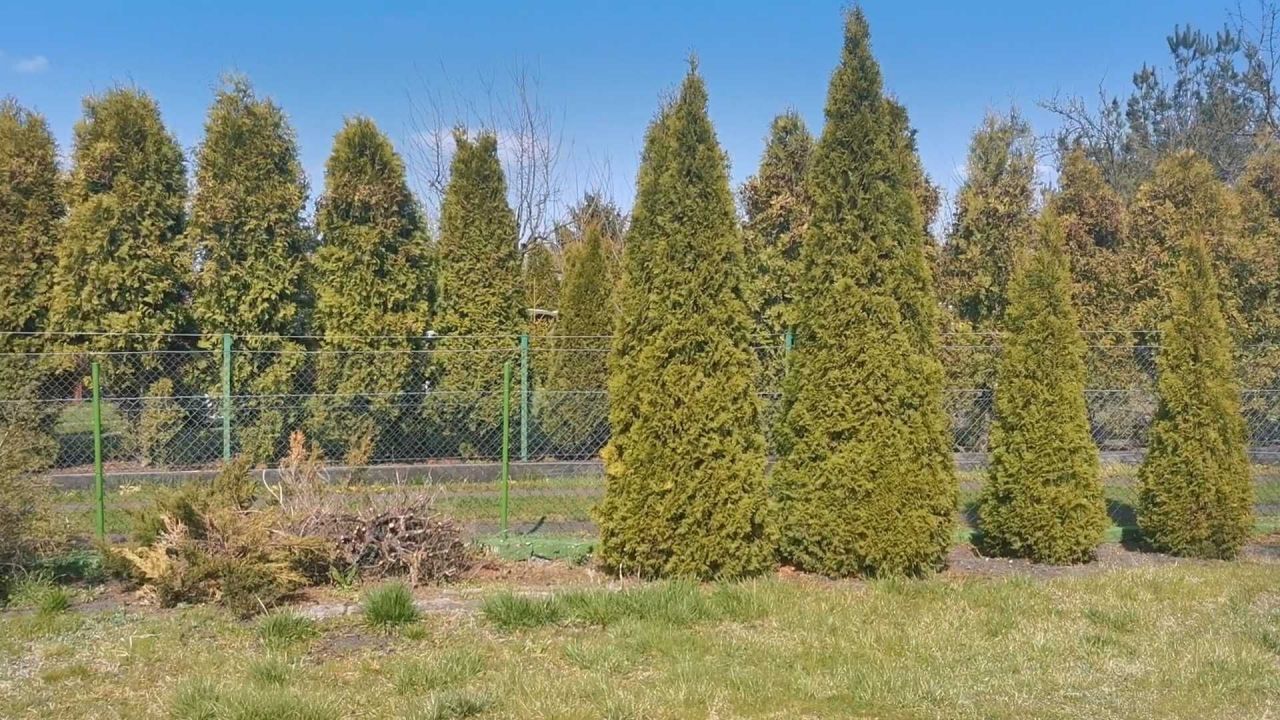 Działka rod Grudziądz. Zdjęcie 6