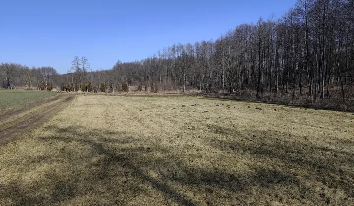 Działka rolna Okopy