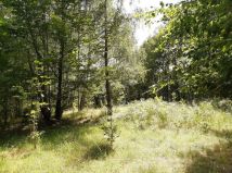 Działka rolna Kusowo. Zdjęcie 4