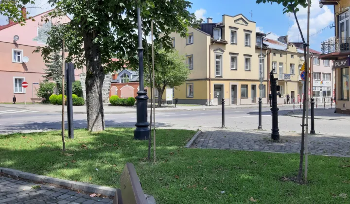 Lokal Ustrzyki Dolne, ul. 29 Listopada