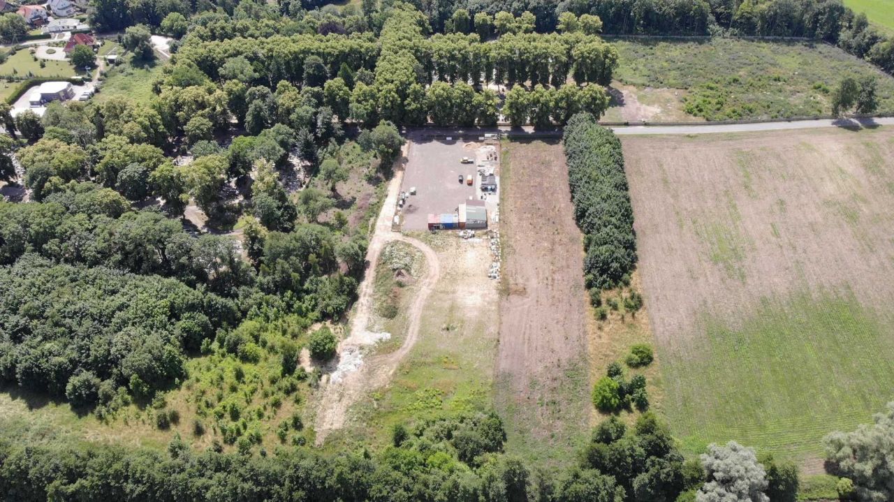 Działka rolno-budowlana Pyrzyce. Zdjęcie 4