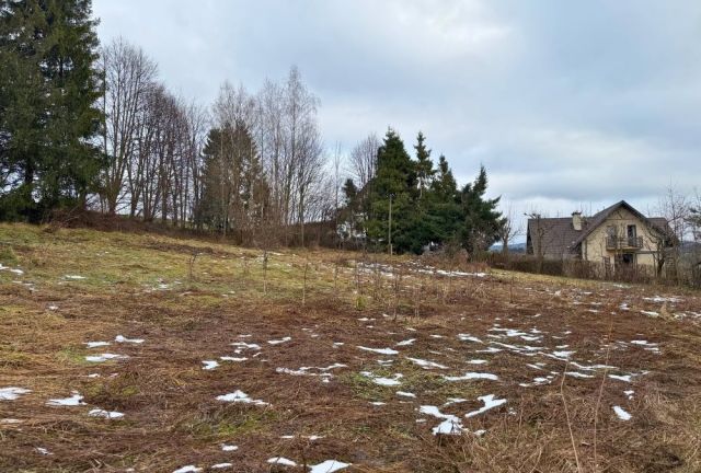 dom wolnostojący, 2 pokoje Czarna. Zdjęcie 11