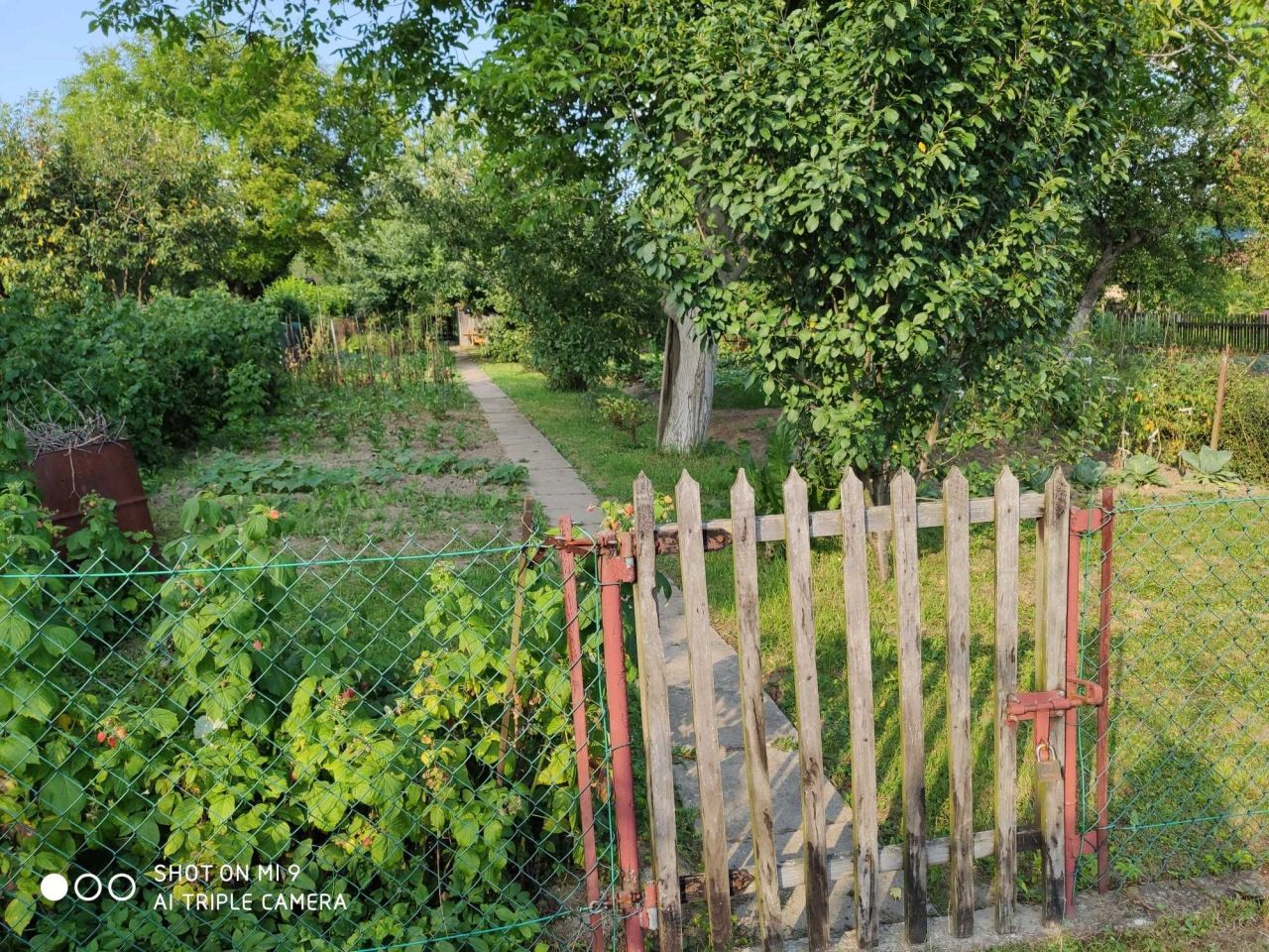 Działka rod Wola Mielecka. Zdjęcie 5