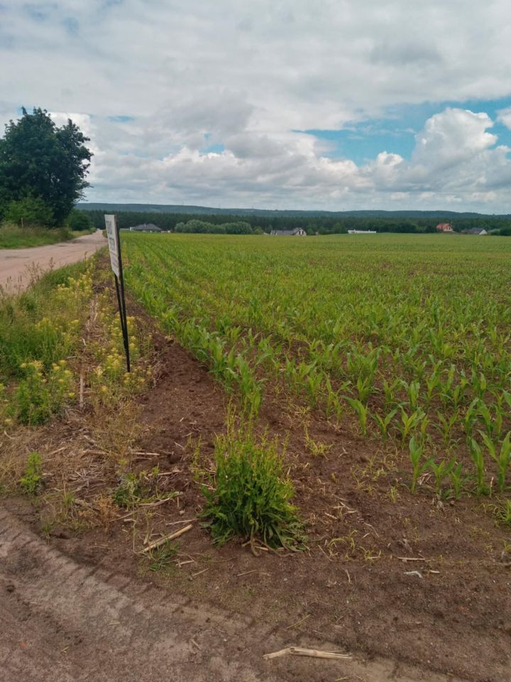 Działka budowlana Nowa Wieś, ul. Cicha. Zdjęcie 5