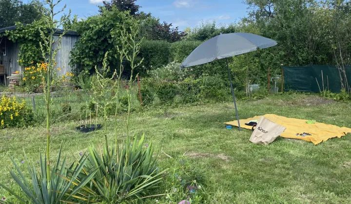 Działka rod Słupsk Ryczewo, ul. Gdańska