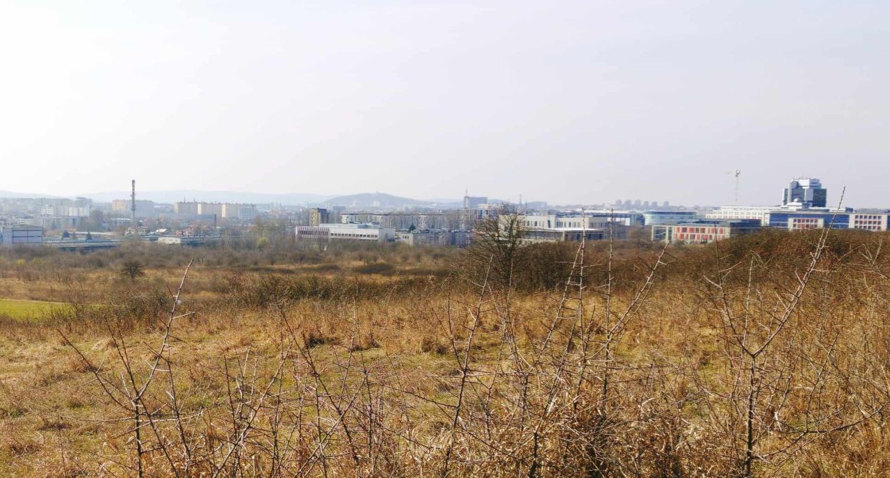 Działka rolna Kielce Nowy Folwark, ul. Ciekocka. Zdjęcie 6