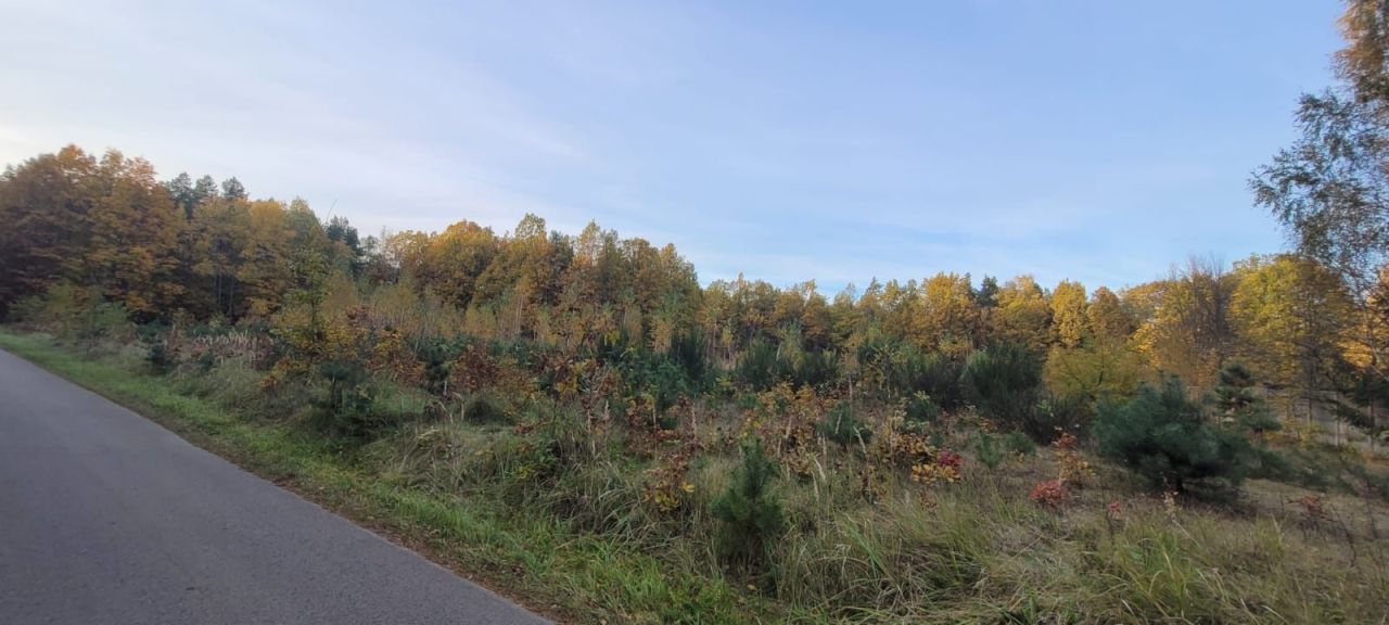 Działka rolno-budowlana Miłkowska Karczma. Zdjęcie 2