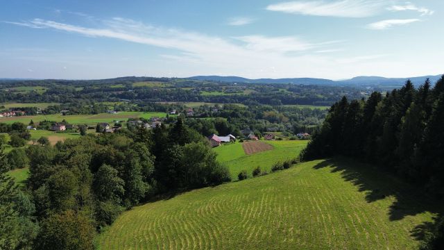 dom wolnostojący, 3 pokoje Strzeszyn. Zdjęcie 5