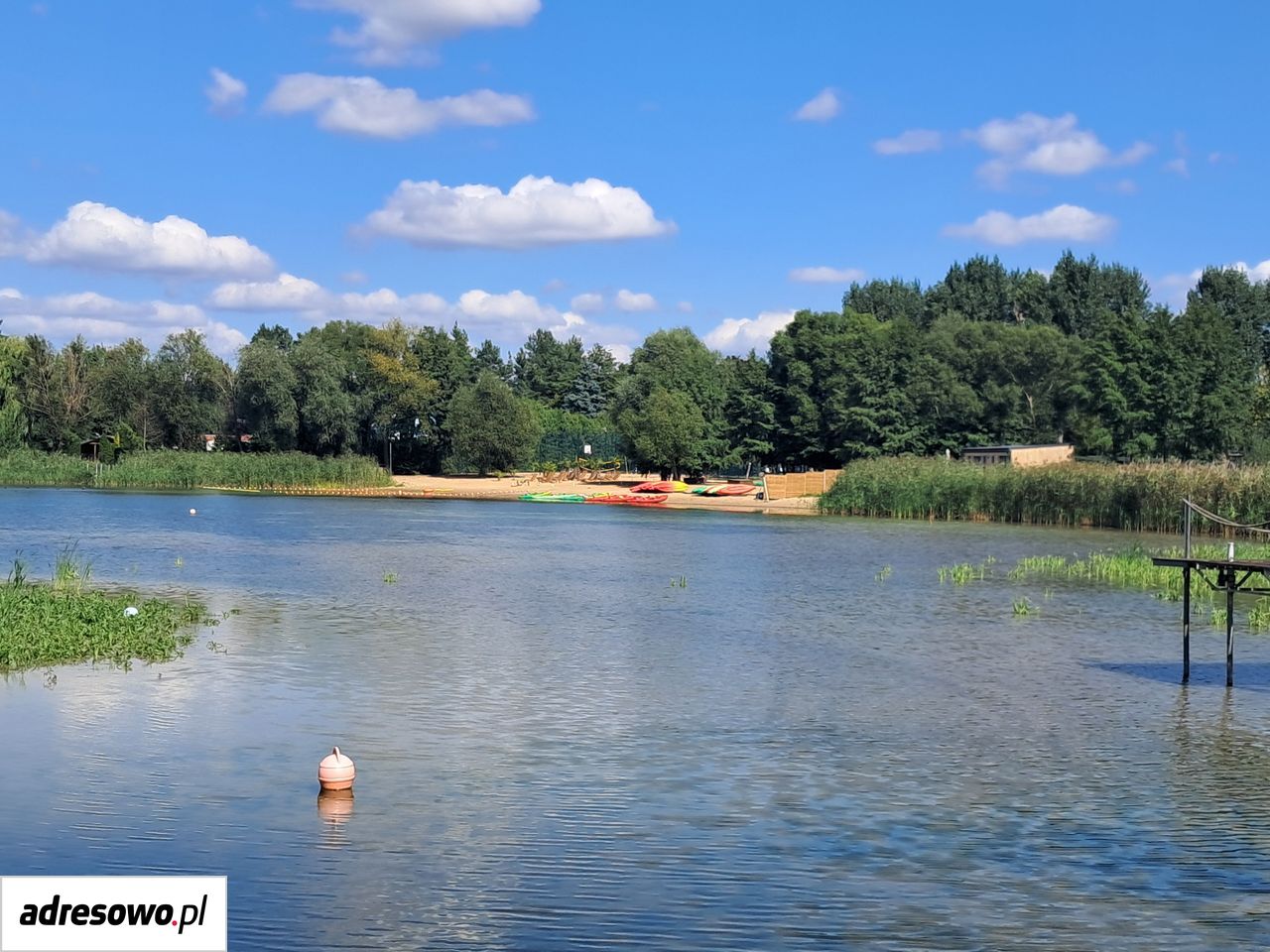Działka siedliskowa Kochowo. Zdjęcie 2
