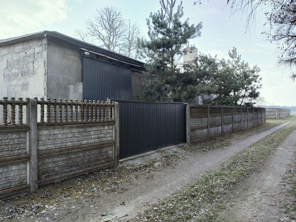 gospodarstwo Zamoście. Zdjęcie 7