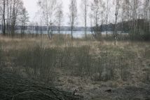 Działka siedliskowa Iznota. Zdjęcie 1