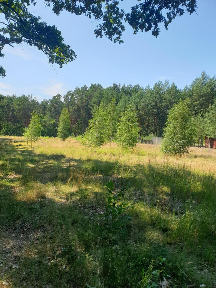 Działka budowlana Kolonia Karczmy, Leśna. Zdjęcie 6
