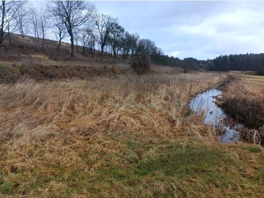 Działka rolna Grzymiradz. Zdjęcie 5