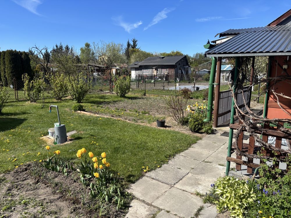 Działka rod Ostrowiec Świętokrzyski, ul. Marii Dąbrowskiej. Zdjęcie 2