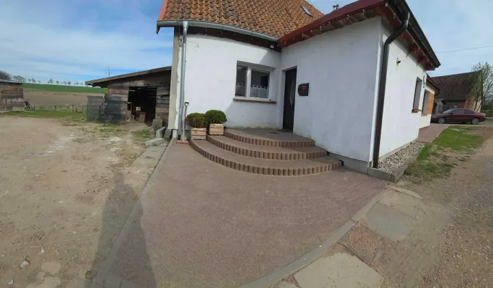 bliźniak Równina Dolna