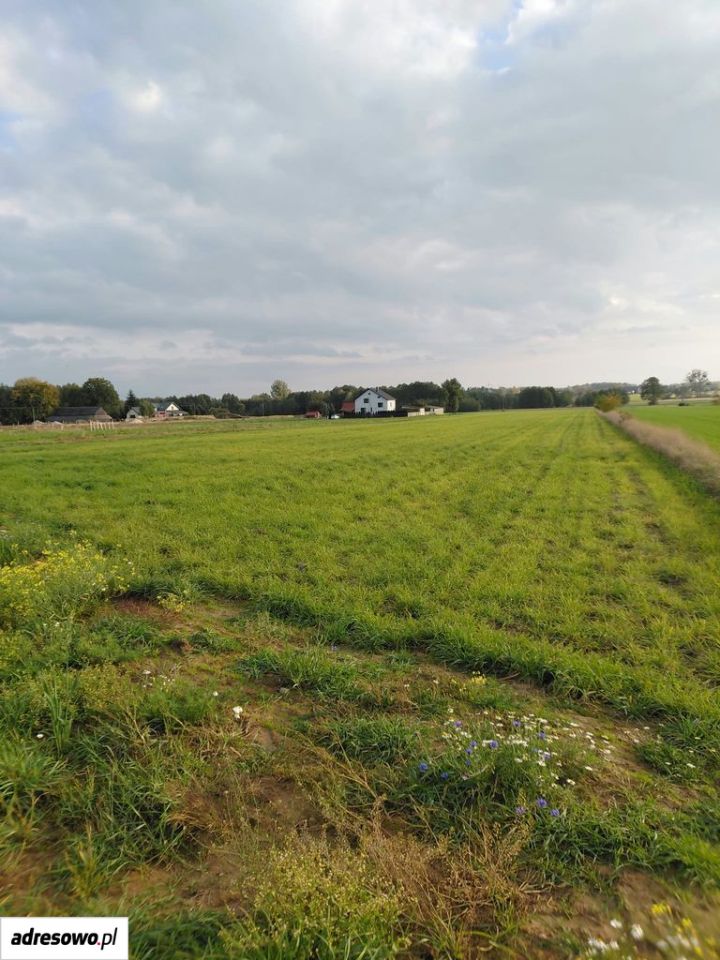 Działka budowlana Klwatka Królewska, ul. Graniczna. Zdjęcie 4