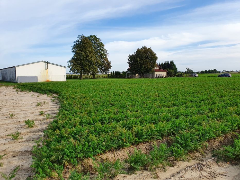 dom wolnostojący Ożarów Mazowiecki. Zdjęcie 3