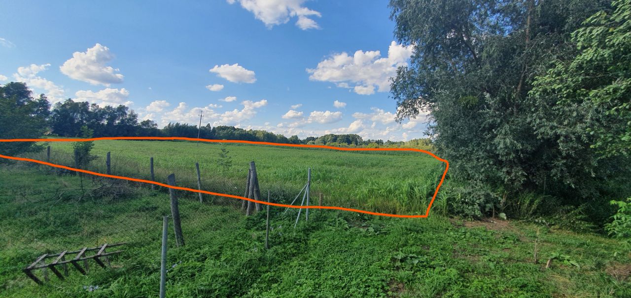 Działka rolna Chrystkowo. Zdjęcie 4